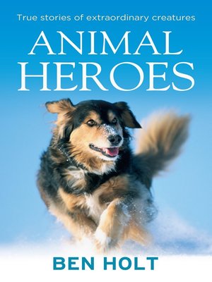 cover image of Animal Heroes